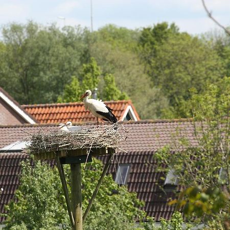 Bed & Breakfast 'Aan De Ijssel' Зволе Екстериор снимка