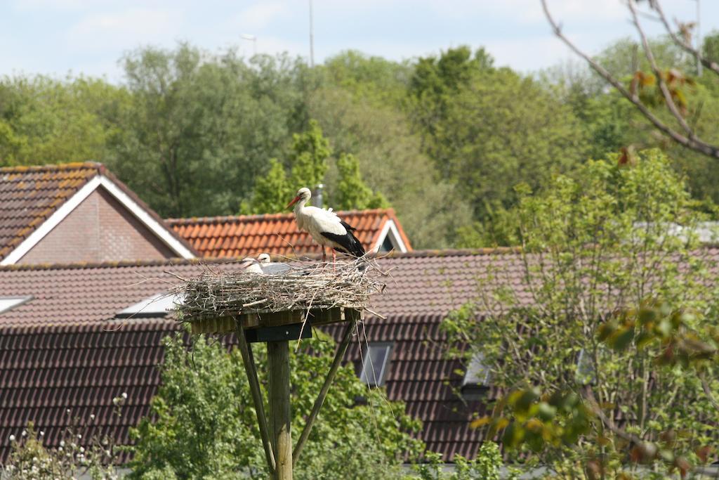 Bed & Breakfast 'Aan De Ijssel' Зволе Екстериор снимка
